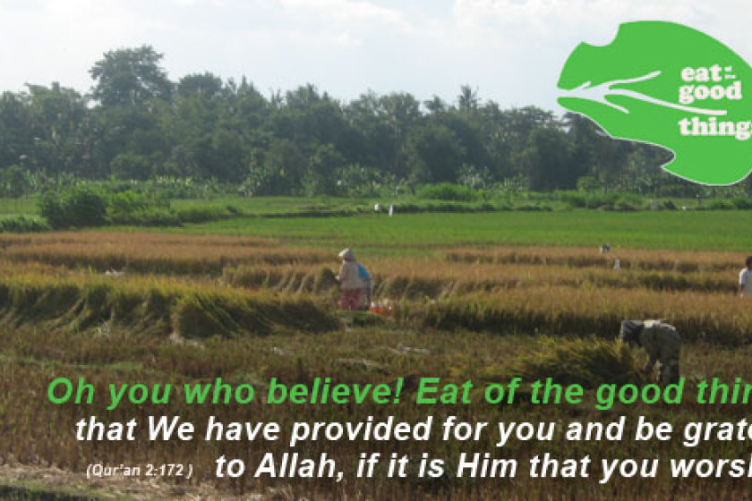 Eat of the Good Things Launched!