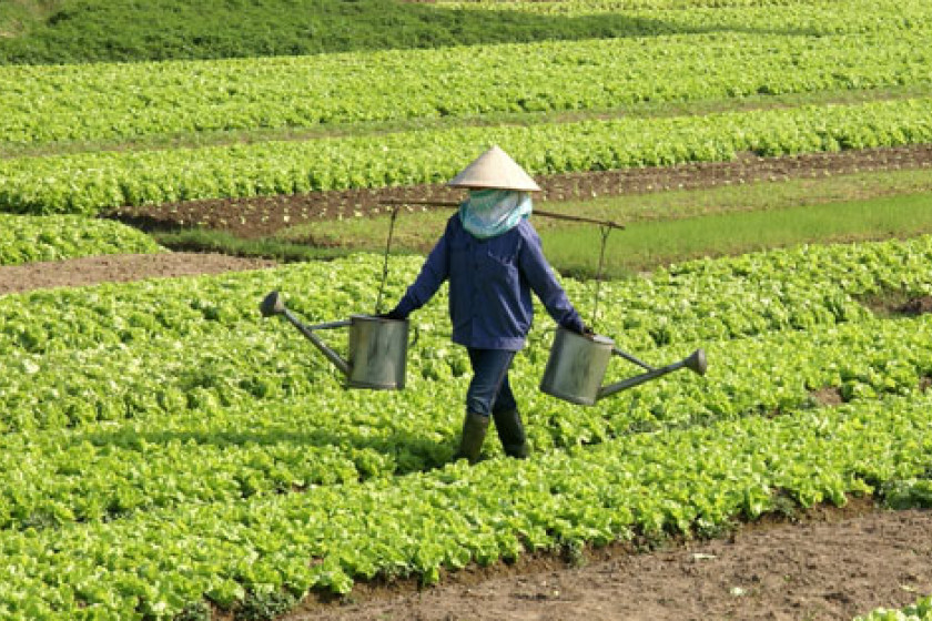 Exciting new &lsquo;Food&rsquo; project 